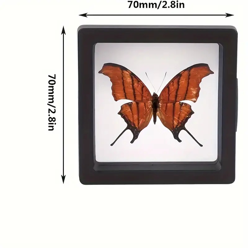 20 piezas Clearview 3D vitrina - Jewelry Making Tray reseña y precio